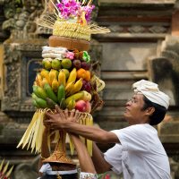 Offers in Bali